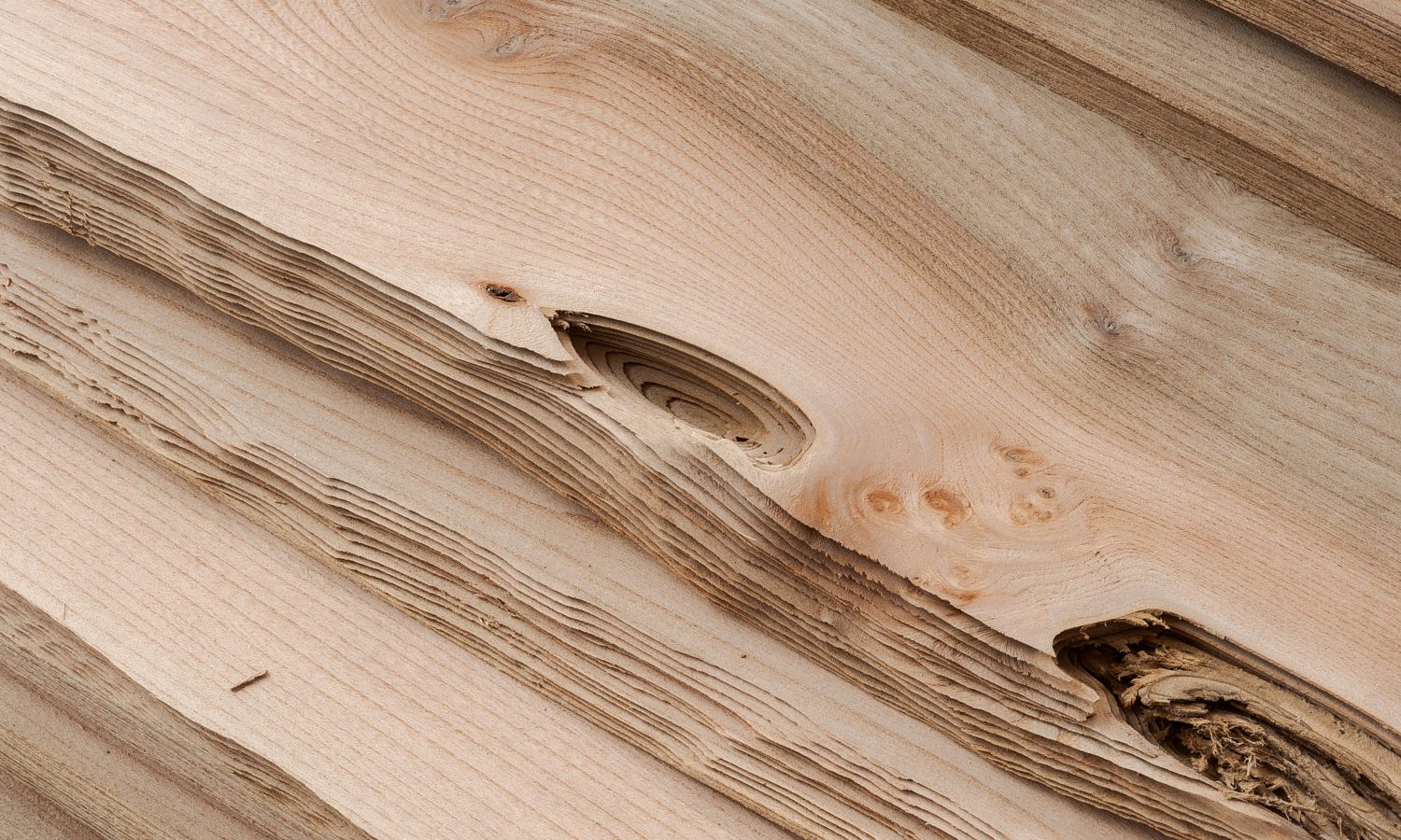 ueber-uns-slider@dominic-kummer-02